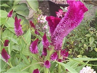 0ee29416-Picture 010.jpg